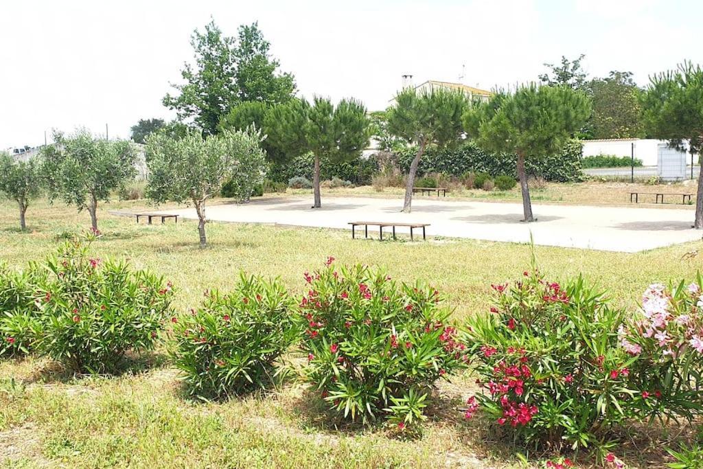Un Bol D'Air Frais Et De Soleil Entre Campagne Et Plage Villa Béziers Dış mekan fotoğraf